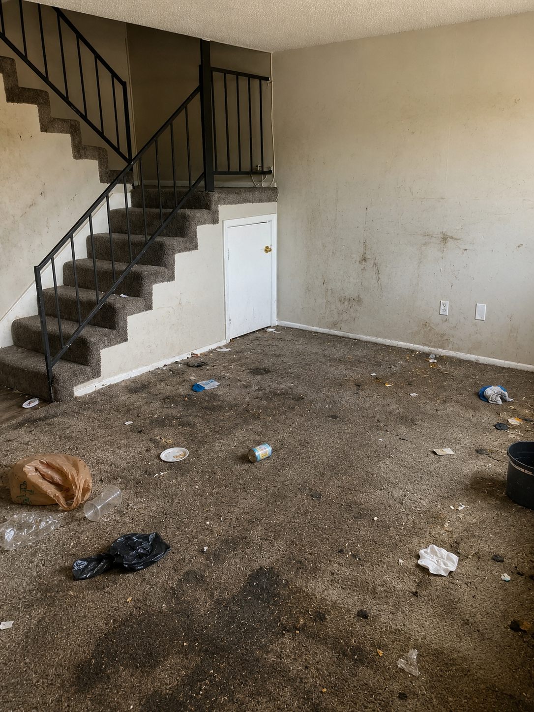 Dirty carpeted living room and staircase before professional cleaning